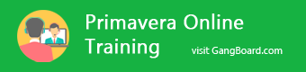 Primavera Online Training